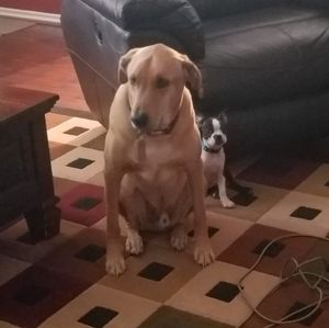 Meet your Posher, Mason